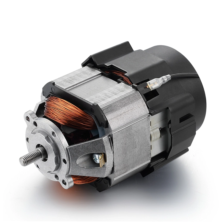 Motores BGAC9338 220V para electrodomésticos. 1