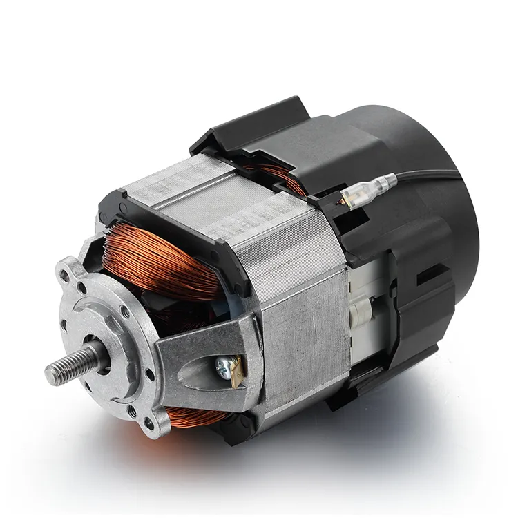The Power Of Efficiency: Exploring The Versatility Of Universal Electric Fan Motors 1