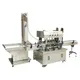 Small Scale Bottle Filling Machine GLZON Brand 2