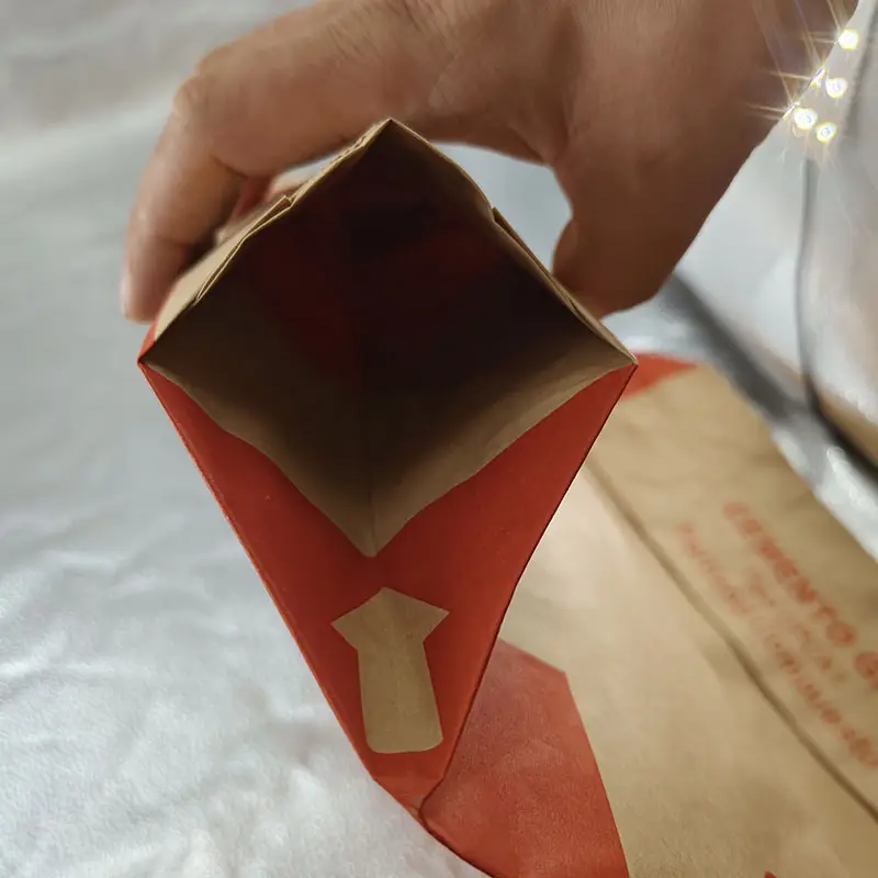 Kraft Paper Bag Manufacturer - - Tianyu Packaging 4