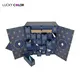 Custom Packaging Bag Supplier CMYK / Customization Lucky Color 4
