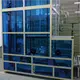 Warehouse Conveyor Systems Conveying Pallet - - X-YES Conveyors 2