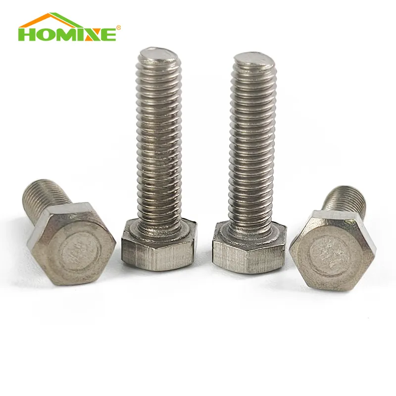 Small Titanium Screws Medical by HOMIXE 2