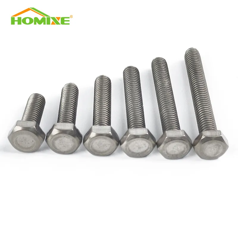 Small Titanium Screws Medical by HOMIXE 3