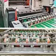 Paper Processing Machine by PRINCE 6