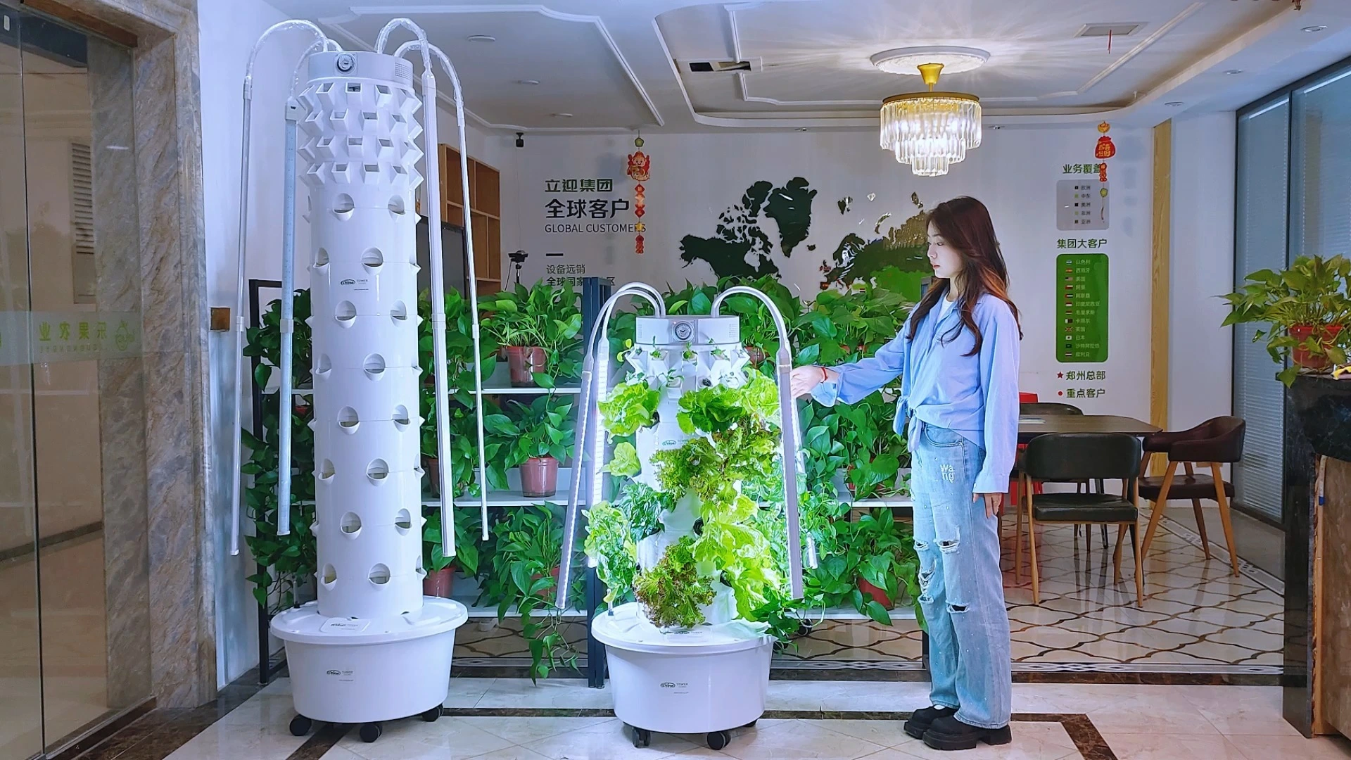 Hogar agrícola interior del sistema hidropónico vertical de la torre del  jardín de Lyine con la lámpara flexible, image size:1920x1080