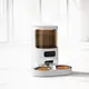 Automatic Dog Feeder Highly Rated for Workplace 5