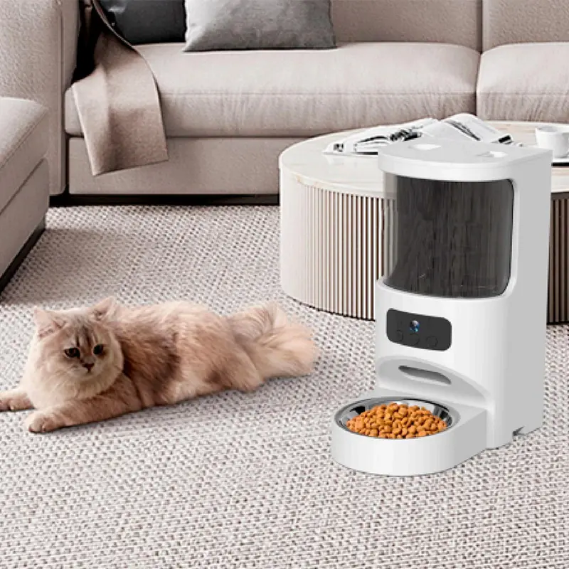 Automatic Dog Feeder Highly Rated for Workplace 6