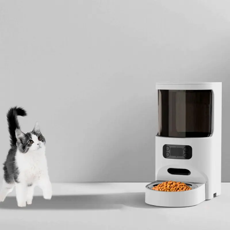 Automatic Dog Feeder Highly Rated for Workplace 7