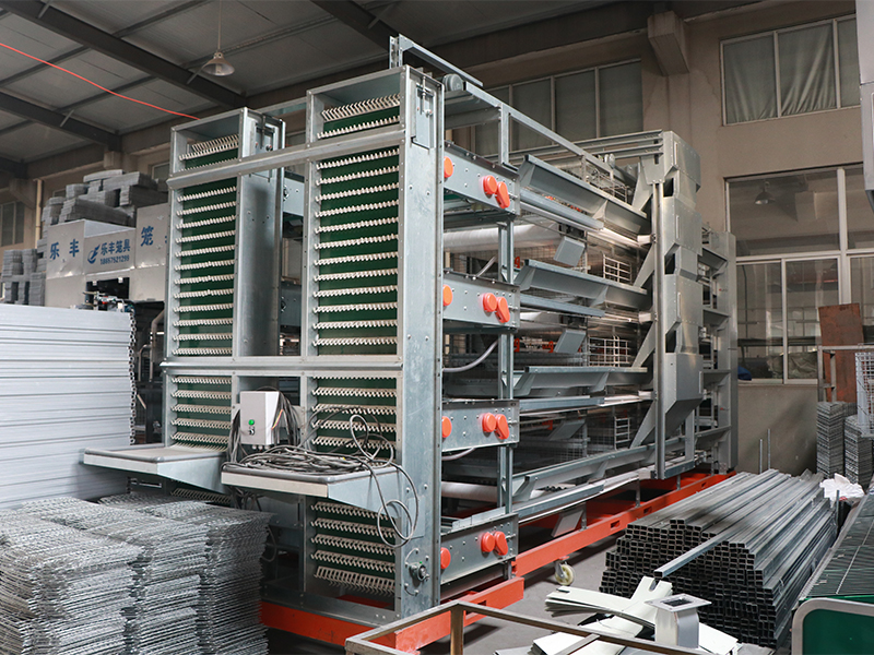 4 Layer Breeding Cage H-Type For Commercial Layers And Parenting Stocks 4