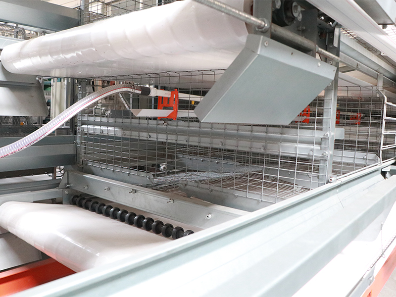 4 Layer Breeding Cage H-Type For Commercial Layers And Parenting Stocks 12