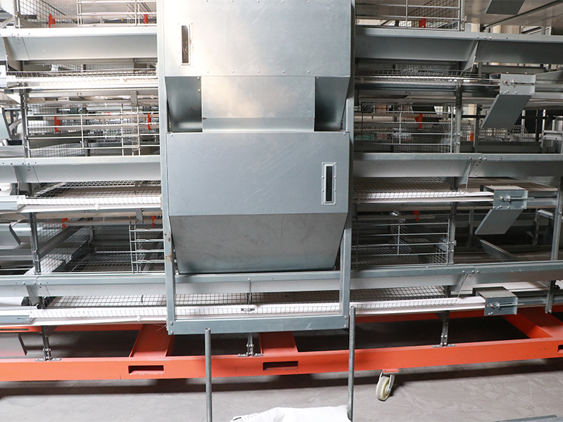 4 Layer Breeding Cage H-Type For Commercial Layers And Parenting Stocks 8