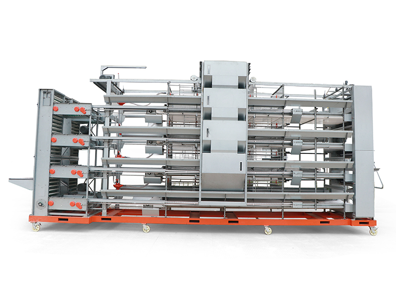 4 Layer Breeding Cage H-Type For Commercial Layers And Parenting Stocks 1