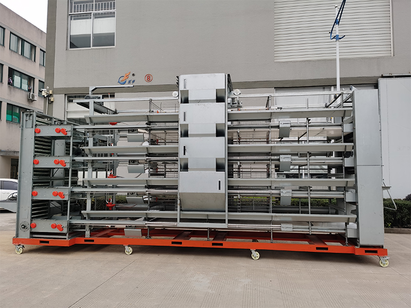 4 Layer Breeding Cage H-Type For Commercial Layers And Parenting Stocks 7