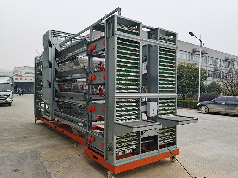 4 Layer Breeding Cage H-Type For Commercial Layers And Parenting Stocks 6