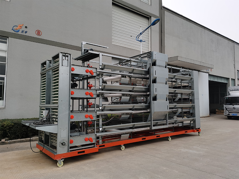 4 Layer Breeding Cage H-Type For Commercial Layers And Parenting Stocks 5