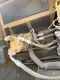 New Caterpillar 308 for Sale Factory Direct Supply for Mining Production 11