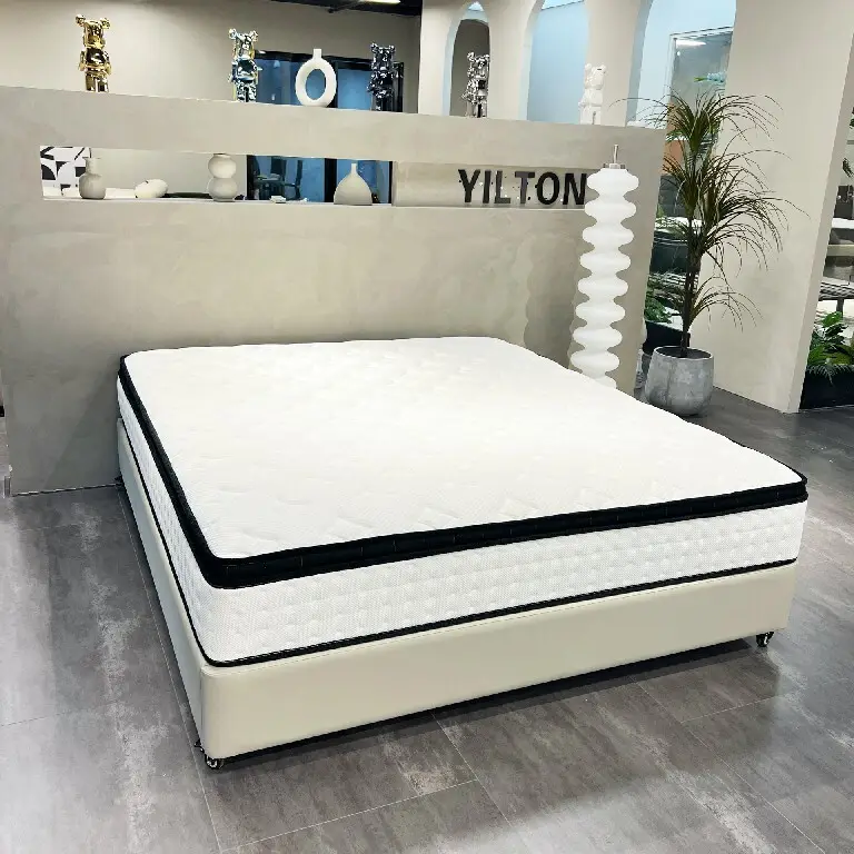 Luxury Queen Mattress Company for Home20 Feet Container(roughly 150pcs for Queen Size) 3