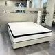 Luxury Queen Mattress Company for Home20 Feet Container(roughly 150pcs for Queen Size) 3