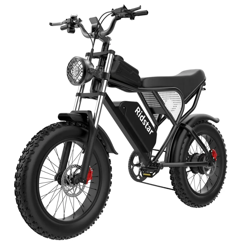 Bicicleta eléctrica Ridstar Q20 1