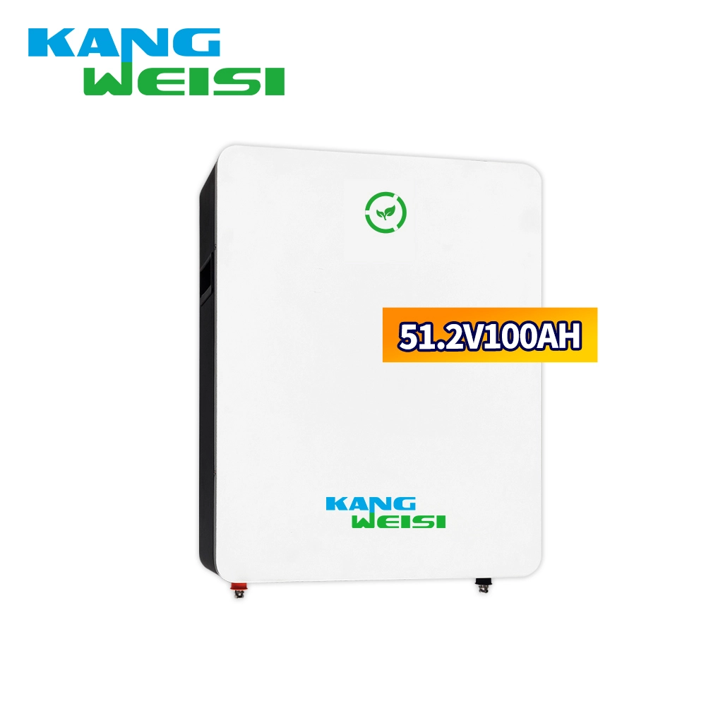 Baterai Penyimpanan Energi Fotovoltaik 5kwh10kwh 51.2V100AH ​​​​Set Baterai Lithium Besi Fosfat Surya Terpasang Di Dinding Lifepo4 1