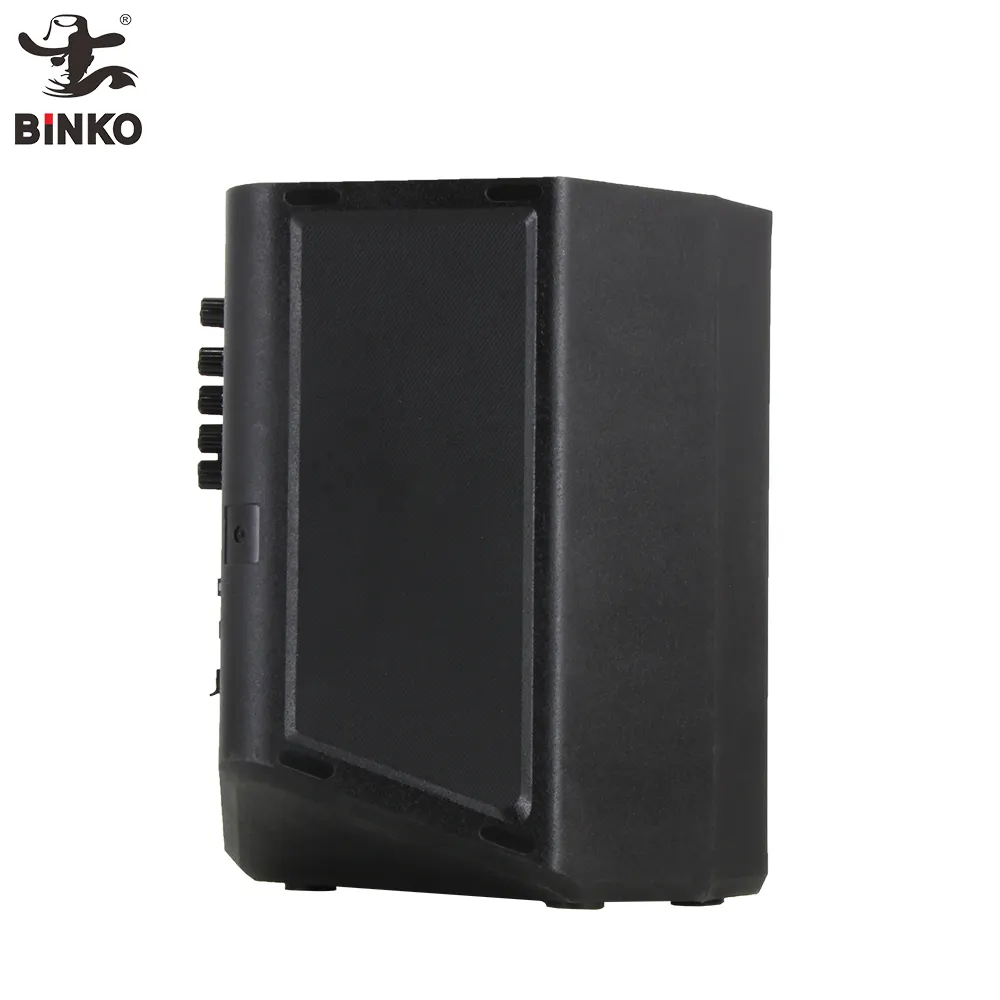 Speaker Supplier 100 - for Indoor - Binko 7