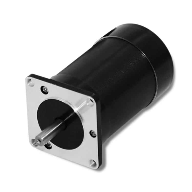 BG57BL95 220 Volt 100 Watt High Torque BLDC Motor 1