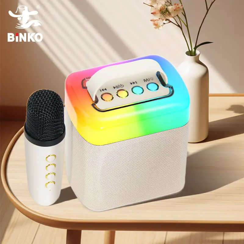 Miniature Bluetooth Speaker Factory for KtvCarton Box 7