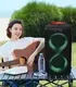 Binko Speaker Factory BK-MS22120factory 10