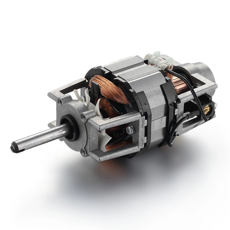 Motor de CA de 230 V de alto par BGAC7630 para mezcladores 1
