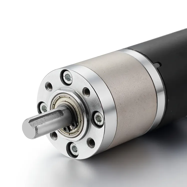 Planetary Motor 12-48VDC by BG Motor 4
