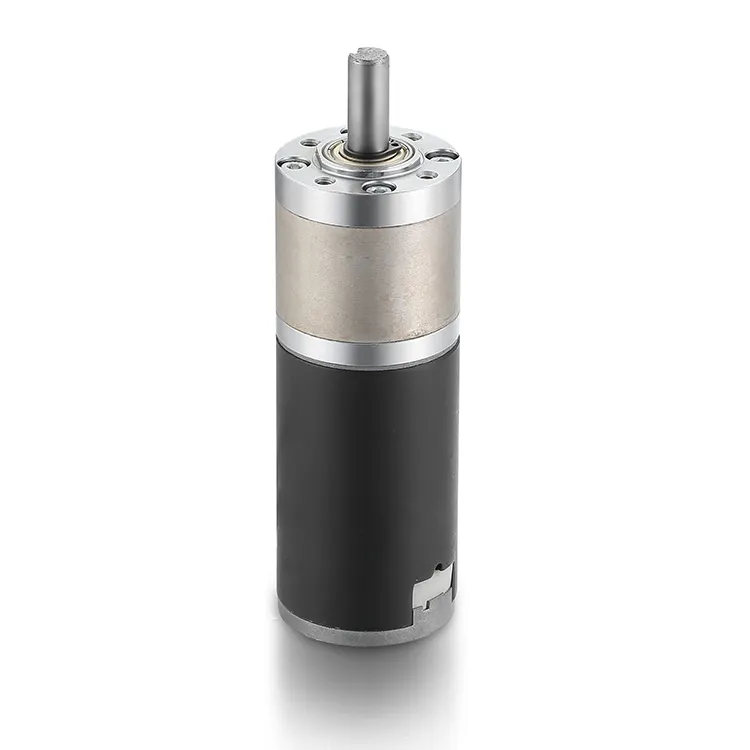 Planetary Motor 12-48VDC by BG Motor 2