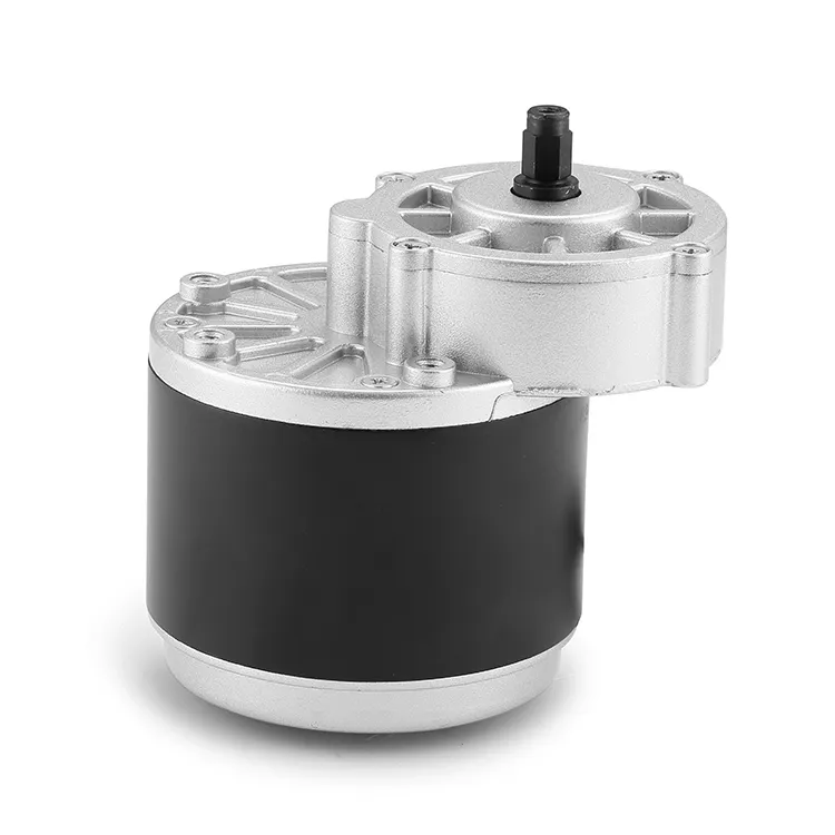 BG Motor Ac Motor Manufacturer 12-48VDCsupply 4
