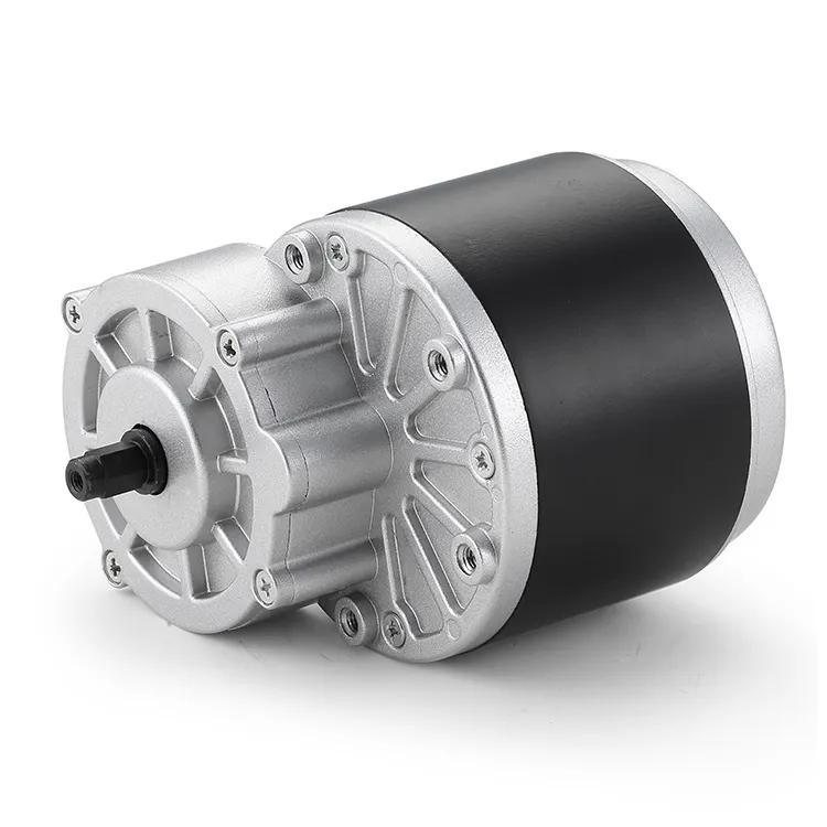 BG Motor Ac Motor Manufacturer 12-48VDCsupply 5
