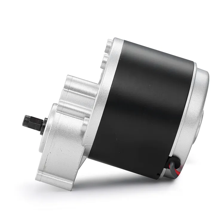 BG Motor Ac Motor Manufacturer 12-48VDCsupply 2