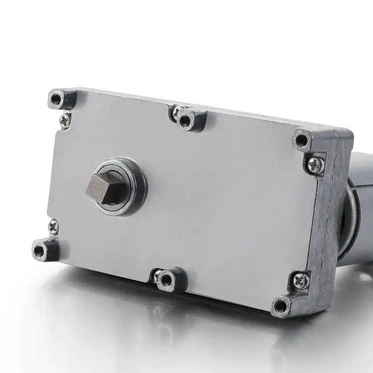 Ac Gear Motor 3-13.5W 12-24VDCsuppliers 5