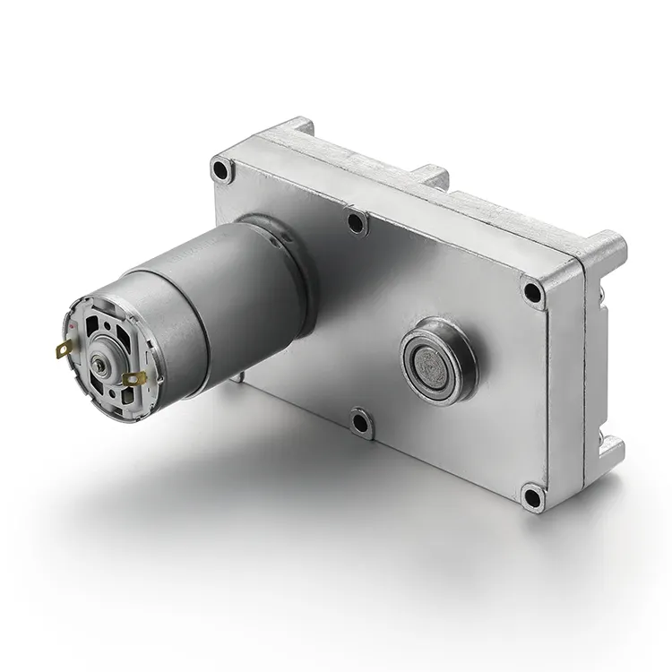 Professionalelectric Motor Worm Gear 4-125rpm 1000h 5