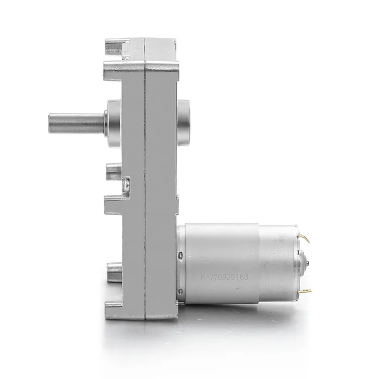 Professionalelectric Motor Worm Gear 4-125rpm 1000h 4