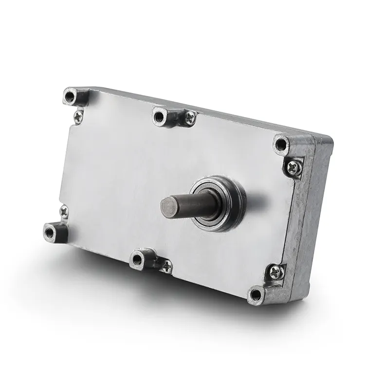 Professionalelectric Motor Worm Gear 4-125rpm 1000h 3