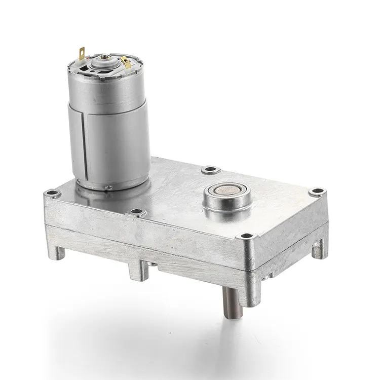 Professionalelectric Motor Worm Gear 4-125rpm 1000h 2