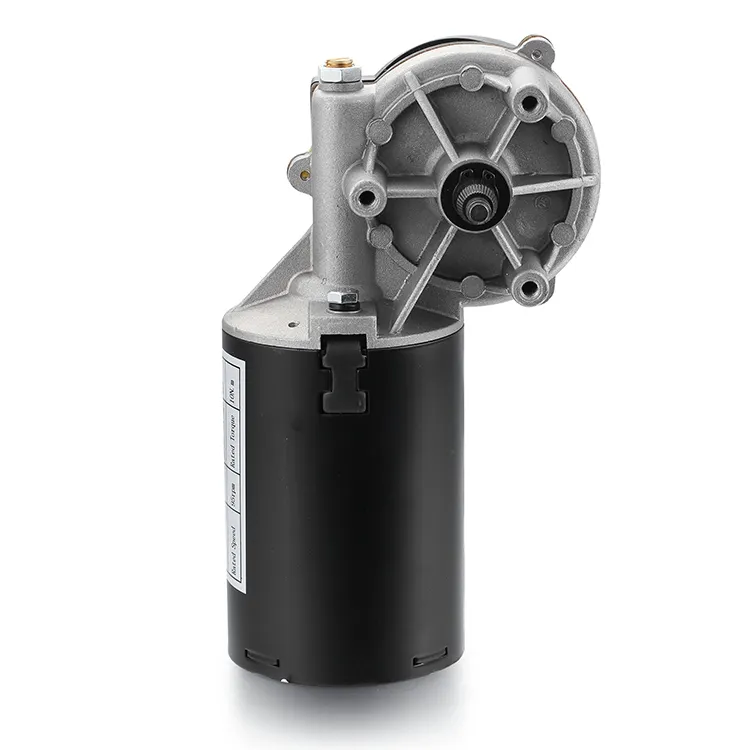Geared Electric Motors 50-100rpm - - BG Motor 2