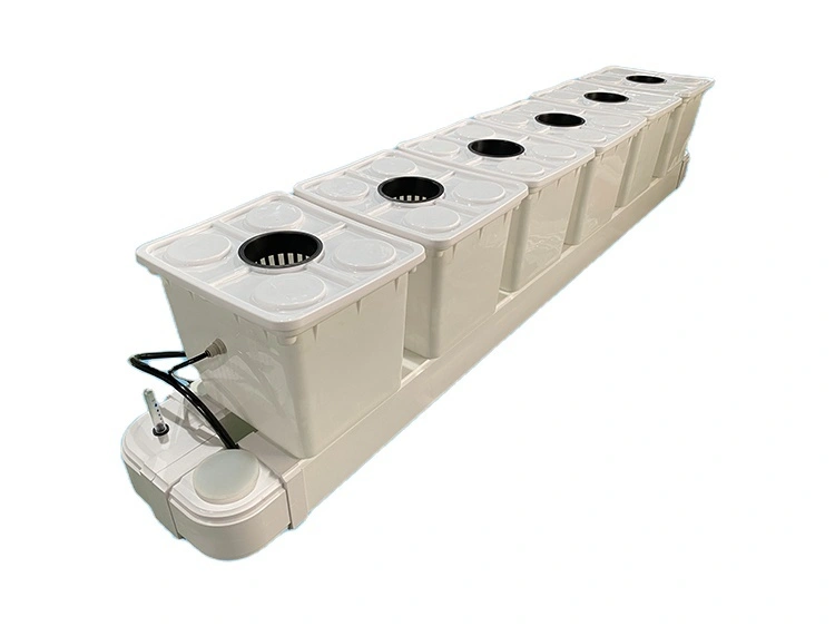 Bucket Hydroponic System Cucumbers and Roses Wholesale - Oone 4