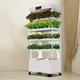 Intelligent Hydroponic Planter S - - Oone 5