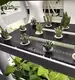 Vertical Indoor Growing System 770x 400 X 1700mm - - Oone 5
