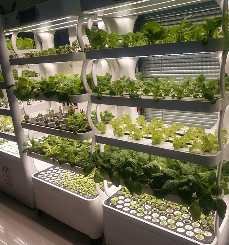 Intelligent Hydroponic Planter S - - Oone 3