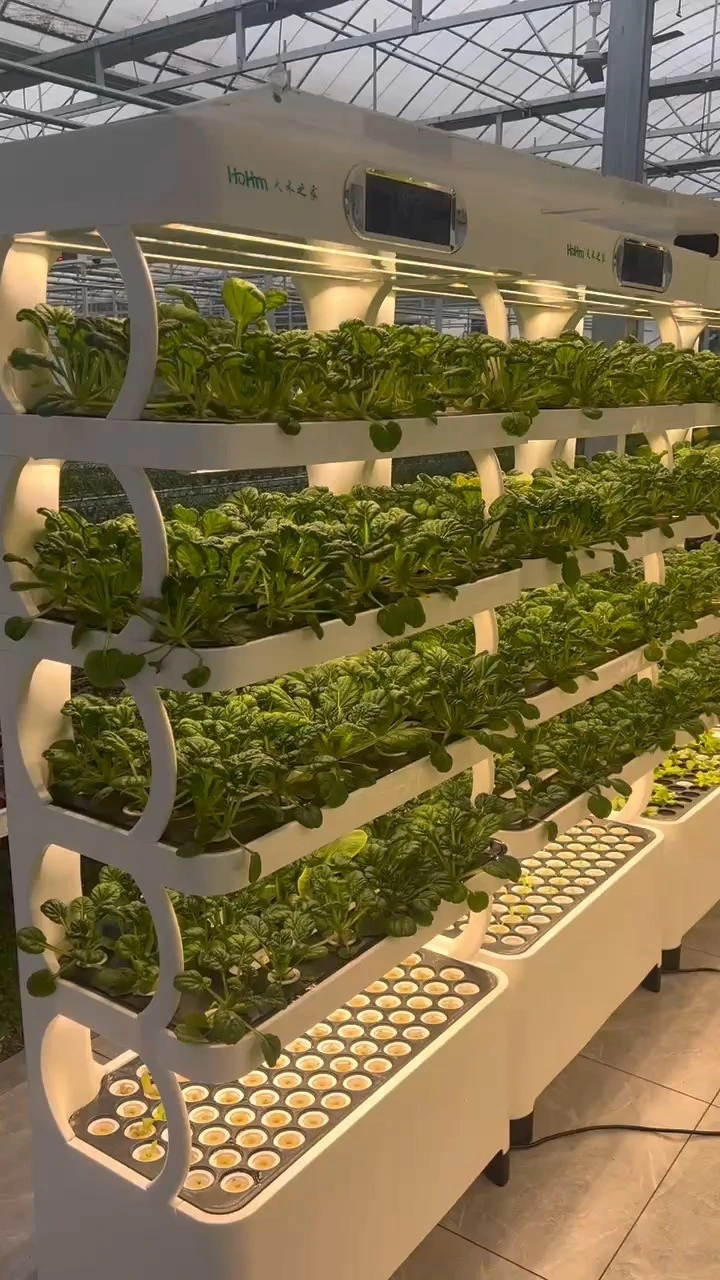 Intelligent Vegetable Planter for Efficient Gardening 1