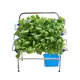 Pvc Pipe Hydroponic System Oone by Oone 5