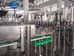 Reliablemango Juice Production Line 4