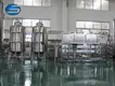 Reliablemango Juice Production Line 8