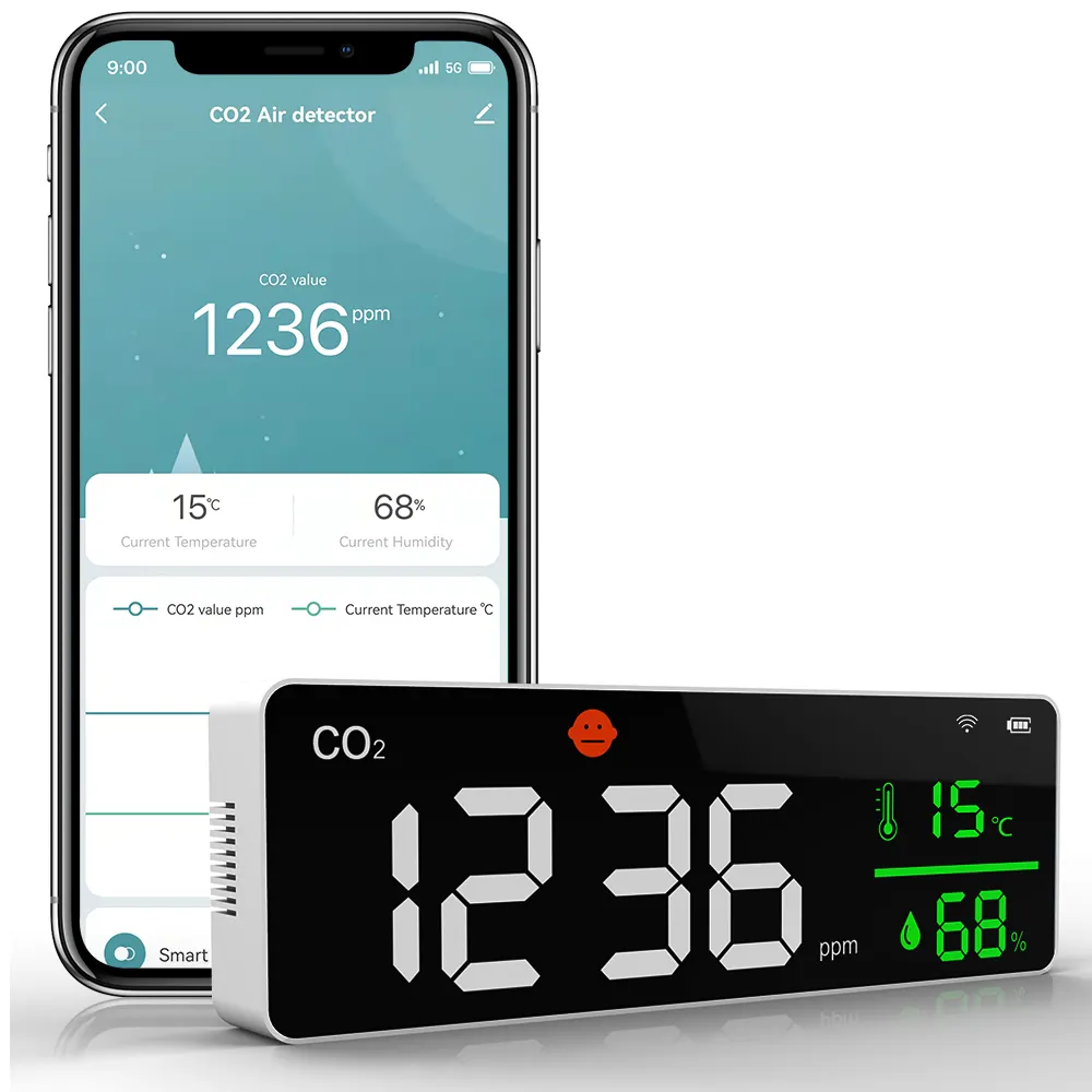 Your Guide To Carbon Dioxide Detectors: How To Keep Your Home Safe 1